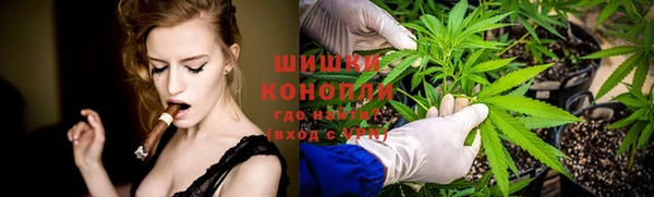apvp Алзамай