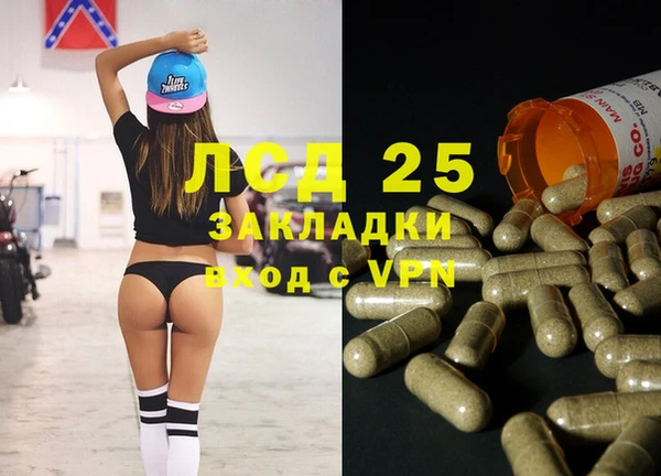 apvp Алзамай