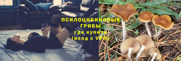 apvp Алзамай